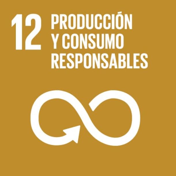 consumo y producción sostenibles