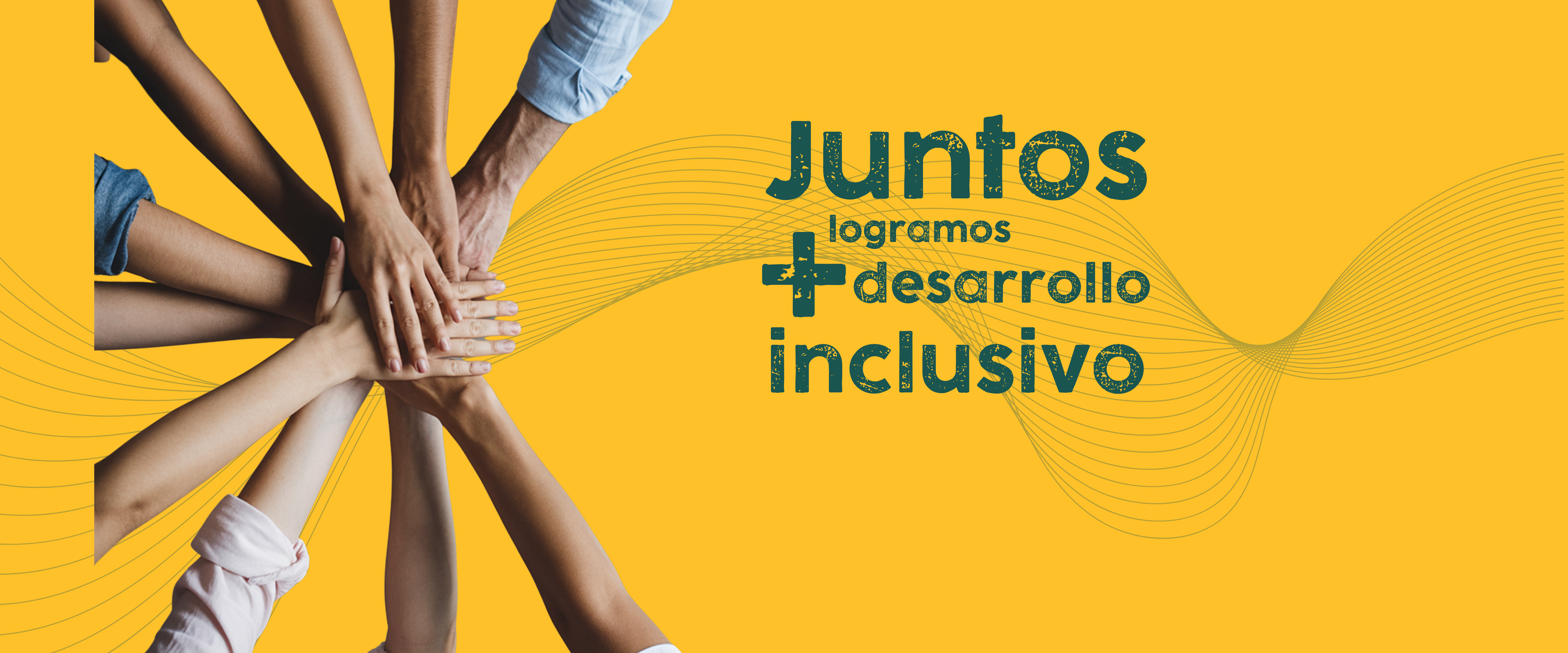 Asociadas a ASINDES